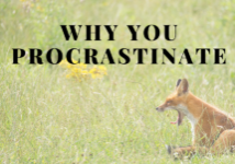 TaskDone - Why we procrastinate